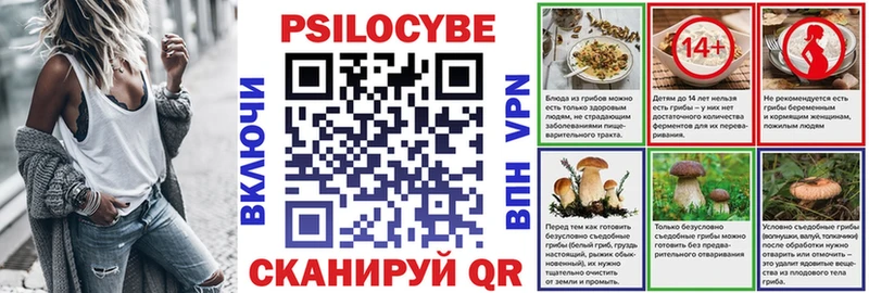 магазин продажи наркотиков  Ростов-на-Дону  Галлюциногенные грибы Magic Shrooms 