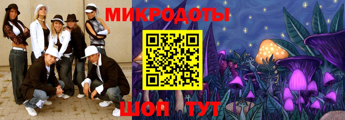 Псилоцибиновые грибы Psilocybe  Ростов-на-Дону 