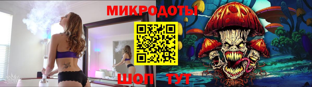 Галлюциногенные грибы Psilocybe Ростов-на-Дону